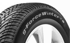 Obrázek: Bfgoodrich G-force Winter 2 205/45 R17 88V