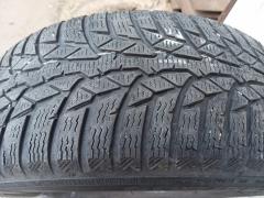 Obrázek: Nokian WR D4 205/55 R16 91H 4,5mm 2ks
